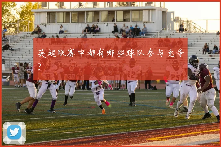 英超联赛中都有哪些球队参与竞争？