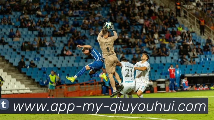 多媒体互动体验